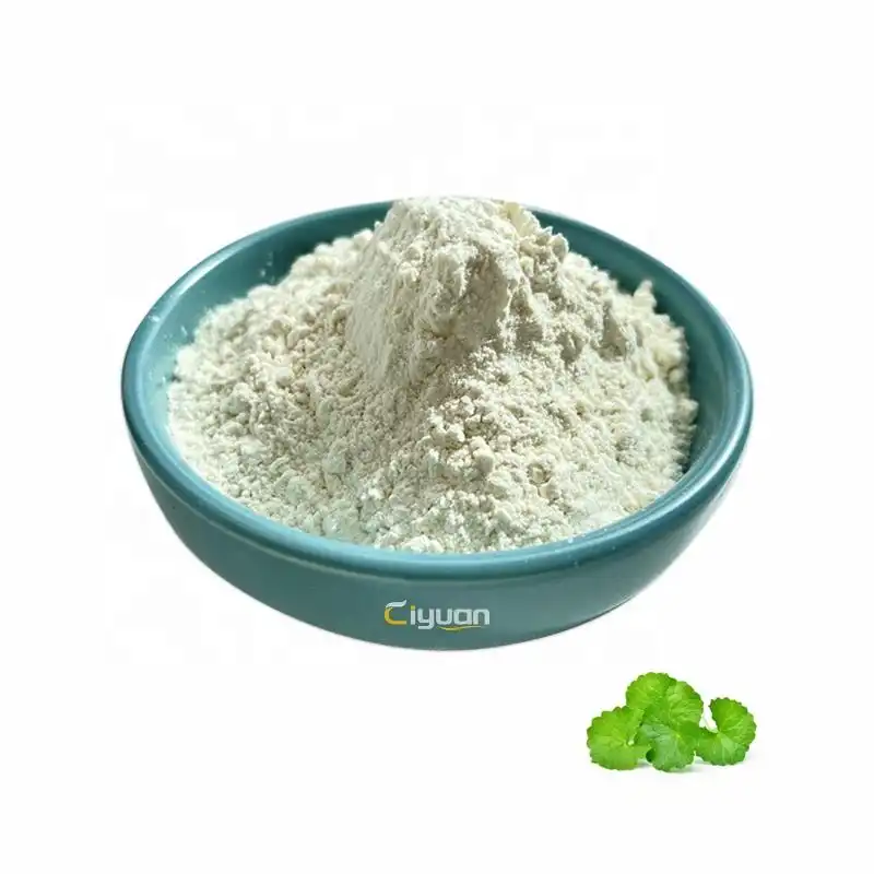 Centella Asiatica Extract Powder